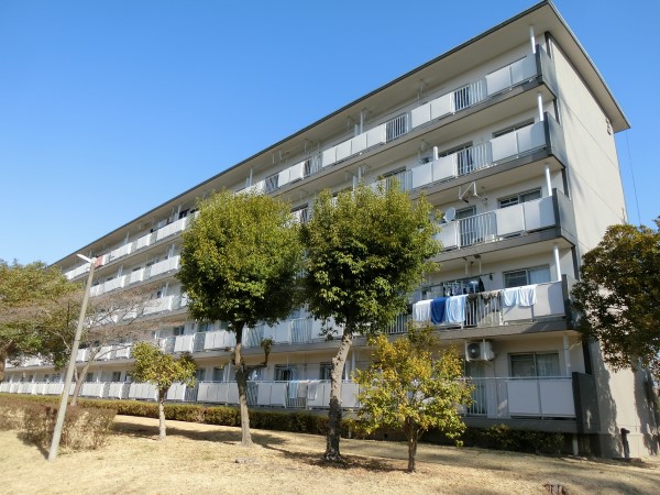 T25032-405 �O��