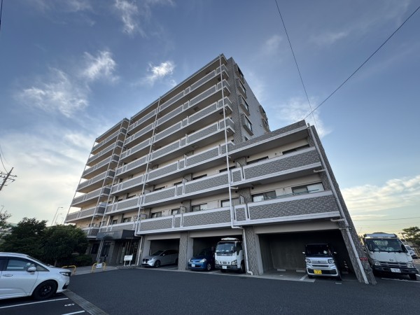 S31016-54 �O��