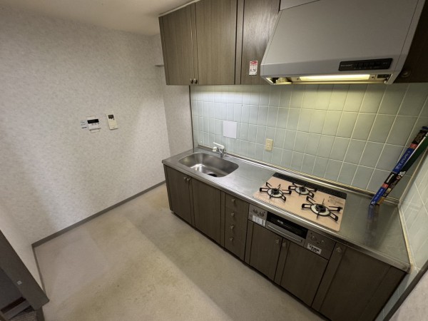 S31016-54 ���̑��摜�P